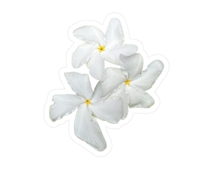Jasmine Flower Kiss-Cut Vinyl Decals