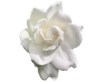 Gardenia Kiss-Cut Vinyl Decals