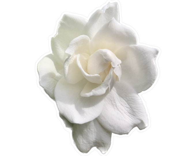 Gardenia Kiss-Cut Vinyl Decals