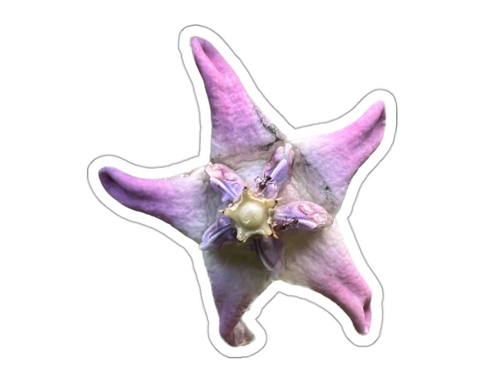 Milkweed Flower Vinyl Die-Cut Stickers
