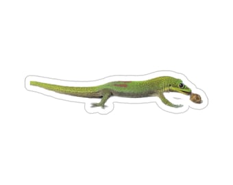 Hungry Gecko Vinyl Die-Cut Stickers