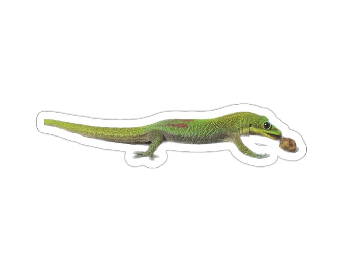 Hungry Gecko Vinyl Die-Cut Stickers