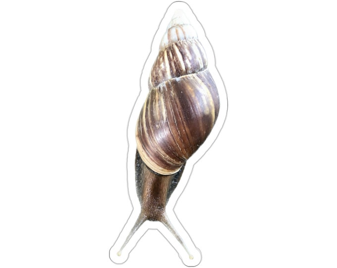 Giant Snail Vinyl Die-Cut Stickers
