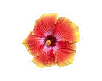 Orange Hibiscus Kiss-Cut Vinyl Decals