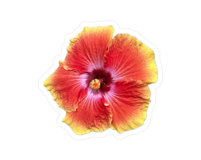 Orange Hibiscus Vinyl Decals