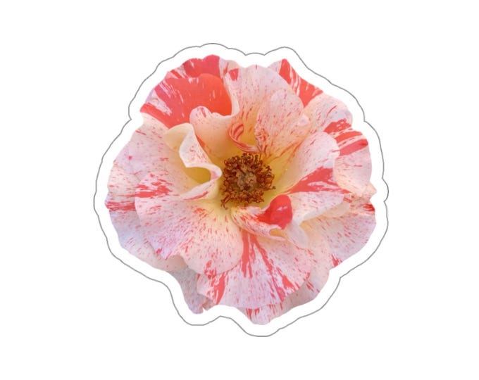 Light Pink Variegated Rose Die-Cut Stickers