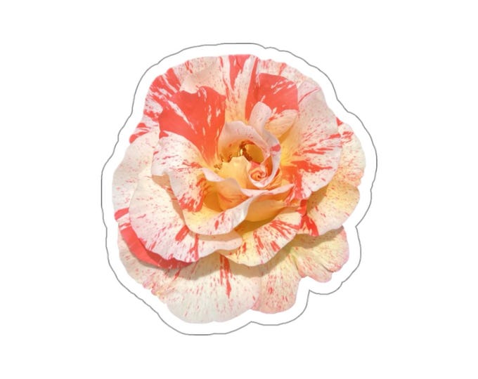 Light Pink Variegated Rose Die-Cut Stickers