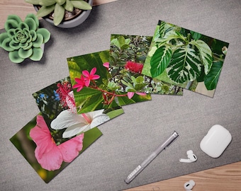 Kauai Greeting Cards (5-Pack)