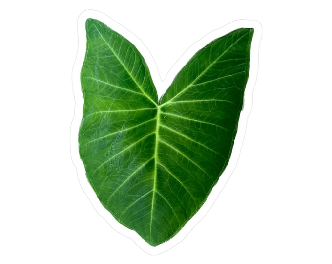 Tropical Leaf Kiss-Cut Vinyl Decals