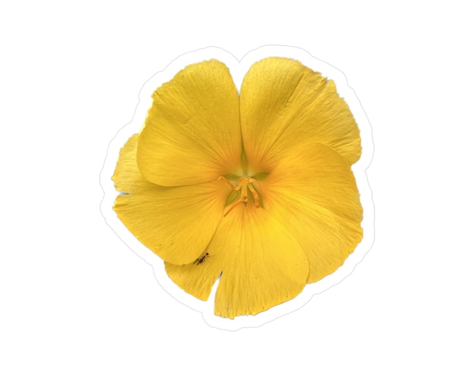 Yellow Tropical Flower Kiss-Cut Vinyl Decals