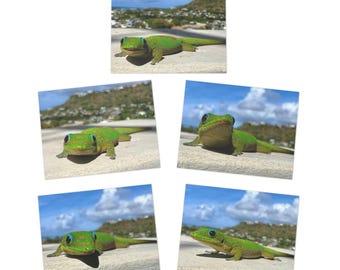 Green Gecko Note Cards: Nature-Inspired Greeting Cards (5 Pack)