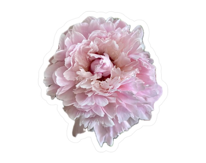 Pink Peony Vinyl Decals