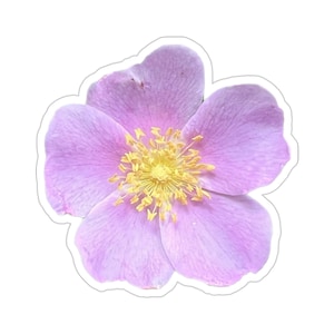 Wild Rose 2 Vinyl Die-Cut Stickers