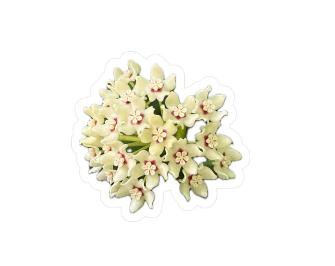 Milkweed Vinyl Decals