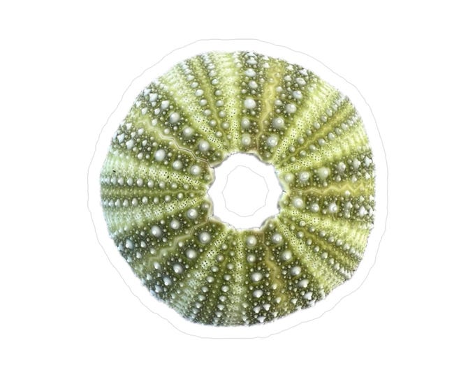 Green Urchin Vinyl Decals