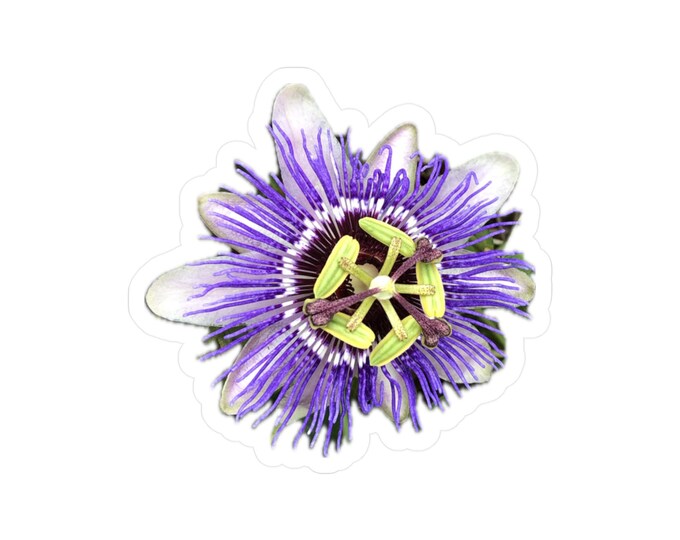 Passion Flower Vinyl Decals