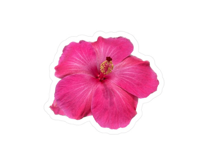 Pink Hibiscus Kiss-Cut Vinyl Decals
