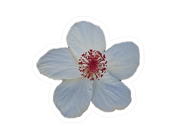 White Hibiscus Vinyl Decals