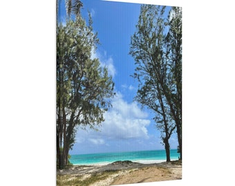 Waimanalo Beach Trees Matte Canvas, Stretched, 0.75"