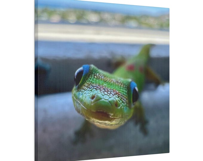 Gecko Boi Matte Canvas, Stretched, 0.75"