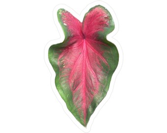Caladium Leaf Kiss-Cut Vinyl Decals