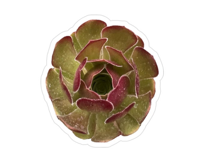 Red Succulent Transparent Outdoor Stickers, Die-Cut, 1pc