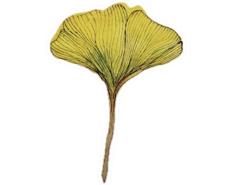 Ginkgo Leaf Kiss-Cut Vinyl Decals