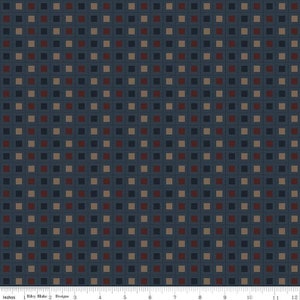 Huckleberry Saltbox Yardage - Blocks - Oxford 14353 - by Karen Walker - Riley Blake Designs