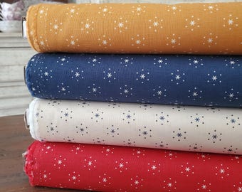 Americana Fabric - Sparkle Yardage - 4 Colorways - Cider/Denim/Latte/Schoolhouse - By Lori Holt - Riley Blake Designs -