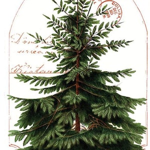 Classic Christmas Fabric - Christmas Botanical Main Panel - J. Wecker Frisch - Riley Blake Designs - PD16280