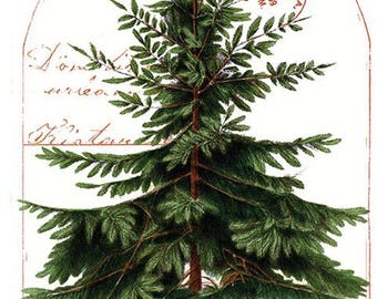 Classic Christmas Fabric - Christmas Botanical Main Panel - J. Wecker Frisch - Riley Blake Designs - PD16280