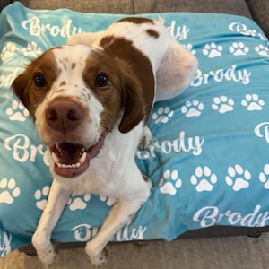 Personalized Pet Blanket: Custom Name & Paw Print Minky Fleece