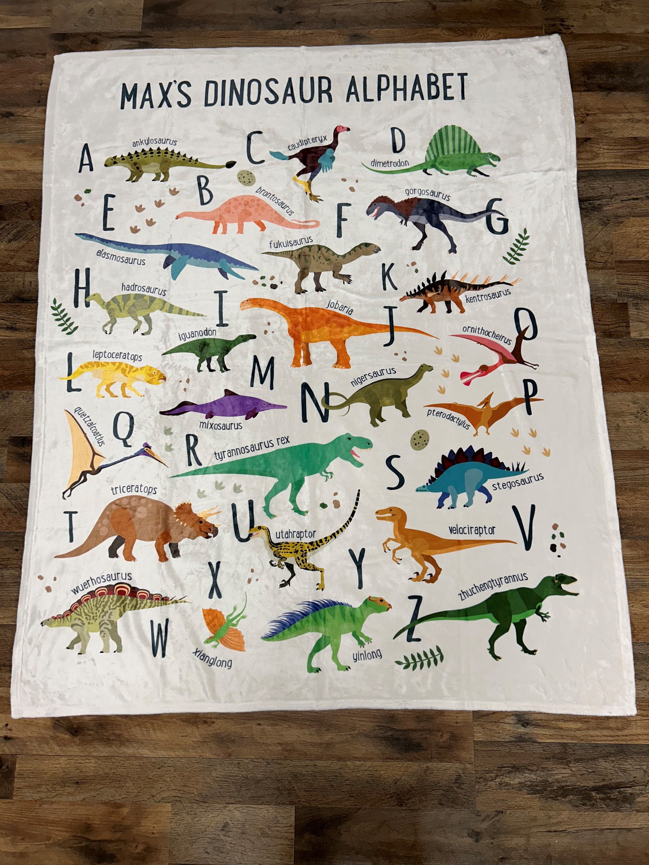 Personalized Kids Dinosaur Alphabet Blanket, Boy Blanket, Baby Blanket, Kids Blanket, Personalized Gift, Gift for Baby and Toddlers