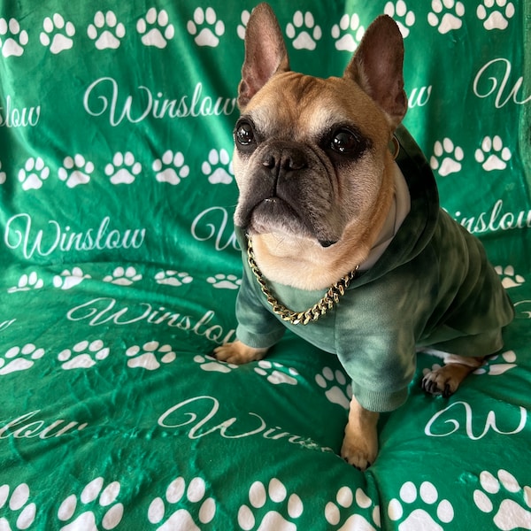 Personalized Name Blanket for Pets | Fleece Blanket with Name & Color of Your Choice | Christmas Gift for Cats and Dogs