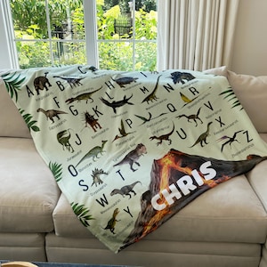 Couverture personnalisée dinosaure pour enfants avec nom, couverture pour garçon, couverture pour bébé, couverture pour enfants, cadeau personnalisé, cadeau pour bébé et tout-petit
