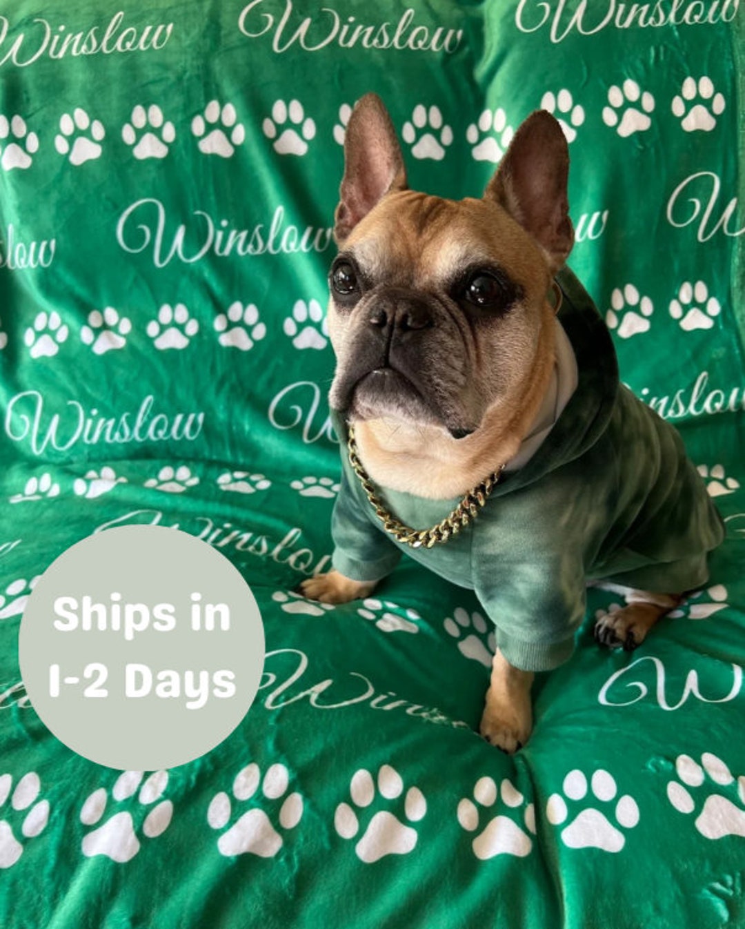 Personalized Name Blanket for Pets Blanket With Name & Color of Your