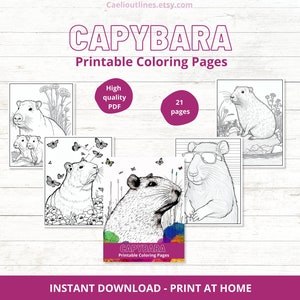 21 Capybara Coloring Pages | Printable | Sneaker Colouring Pages | Coloring Book | Instant Digital Download