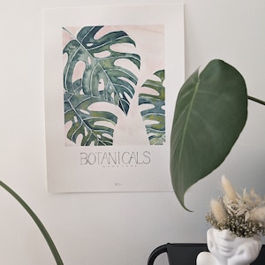 Poster oder Karte - BOTANICALS Monstera (30*40)