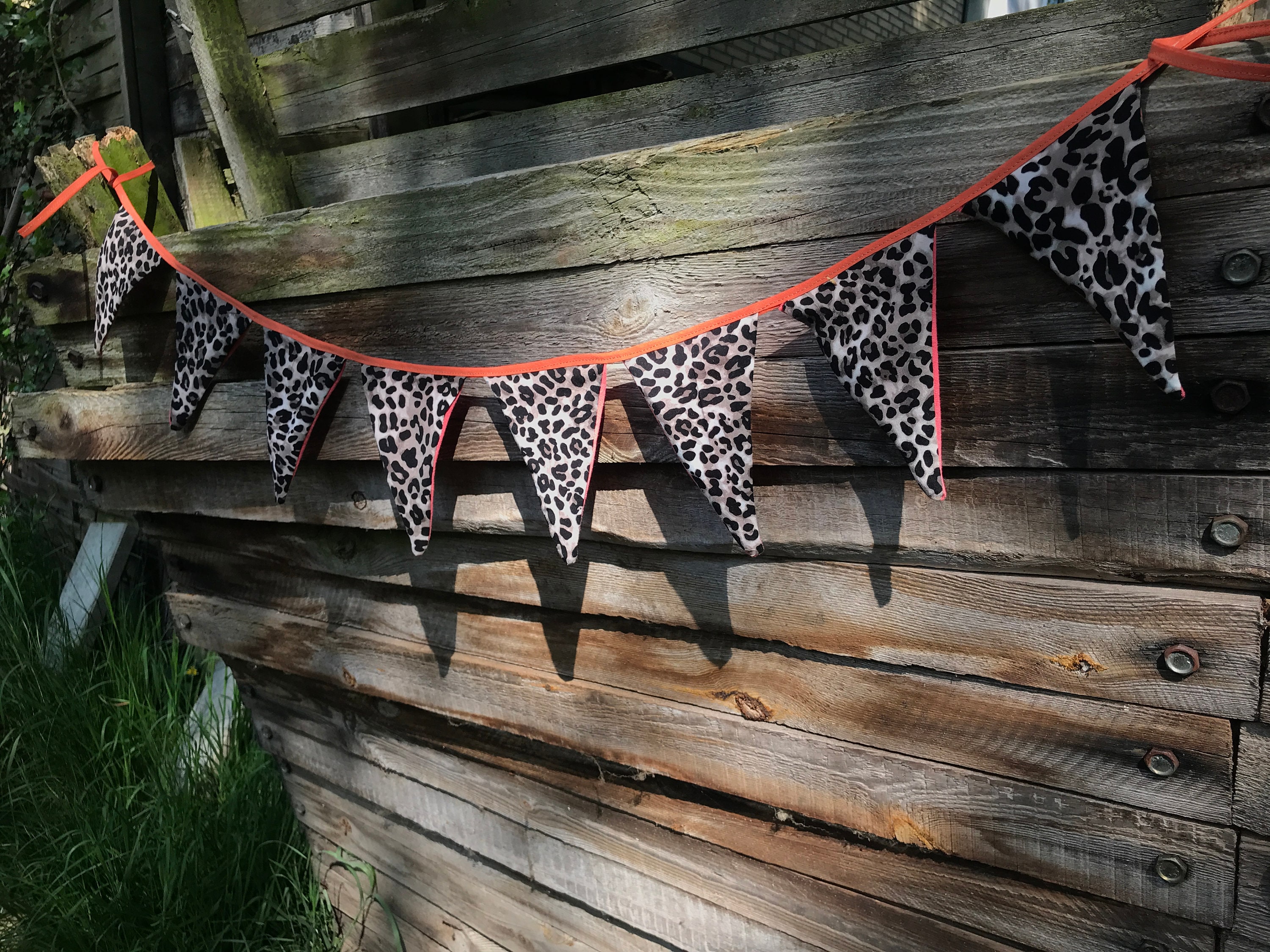 Banner Personalizzato Decorazione Galline Festa Bunting Notte - Foto 11