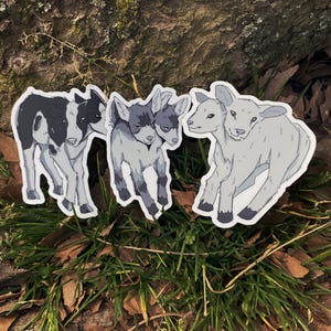Twice as Many Stars - Two Headed Farm Animal Sticker 3in (Calf, Kid, Lamb)