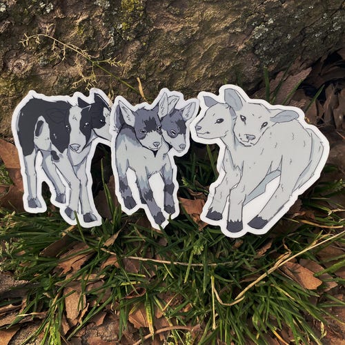 Twice as Many Stars - sticker met twee koppige boerderijdieren, 3 inch (kalf, jong, lam)