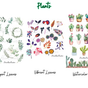 Plants, Sheet Stickers - Thorns, Spikes, Succulent, Greenery, Elegant, Vibrant, Water, Growth, Agenda, Planner, Scrapbook