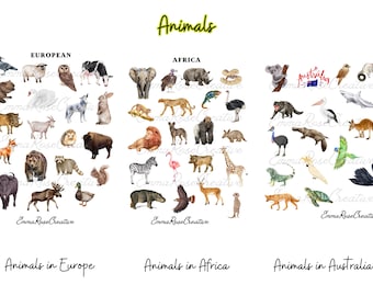 Animal Sheet Stickers - Africa, Europe, Australia, Animals, World, Mammals, Creatures, Agenda, Planner, Journal, Crafts, Scrapbook
