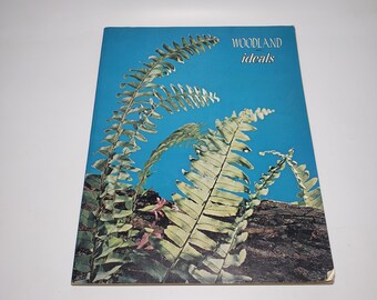 Ideals Magazine, Woodland Issue Vol. 29 No.4, July by Maryjane Hooper Tonn - Vintage Magazine, Graphic Novel, Classic, 1972, Poetry, Stories