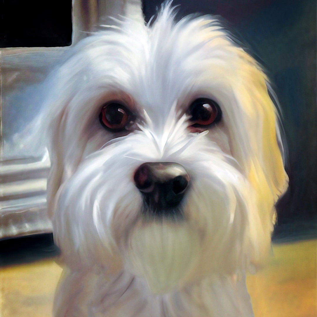 Maltese Terrier Art Maltese Dog Art Maltese Portrait Cute Etsy