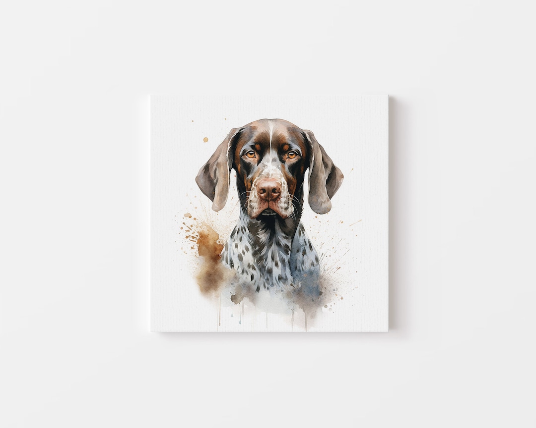 German Shorthaired Pointer, Watercolour Art, Shorthaired Pointer Art ...