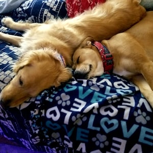 Best Friends, Winston & Leeloo