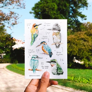 Hoja de pegatinas de martines pescadores y abejarucos. Pájaros coloridos dibujados a mano en acuarela. Pegatinas para bullet journal, pegatinas para planificadores, pegatinas para álbumes de recortes