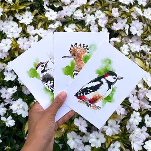 Spechte und Wiedehopf Mini Kunstkarten Bundle. Aquarell Vögel Postkarten Set von 3 Kunstdrucken. Handgezeichnete gemütliche Illustrationen für Vogelfreunde