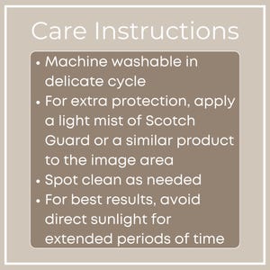 May include: A tan-colored graphic with the words "Care Instructions" in white. The text provides care guidelines: machine wash in a delicate cycle, apply a light mist of Scotch Guard, spot clean as needed, and avoid direct sunlight.